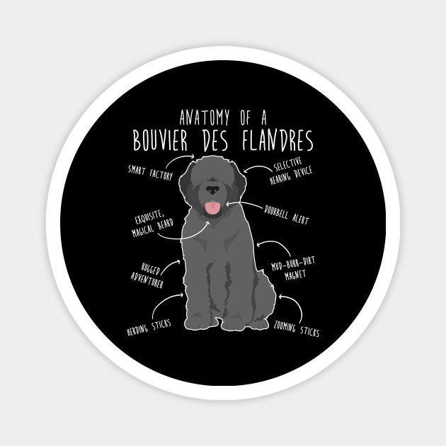 Bouvier Des Flandres Grey Dog Anatomy Magnet by Psitta